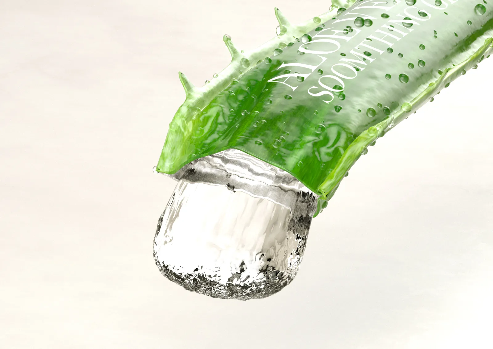 aloe1