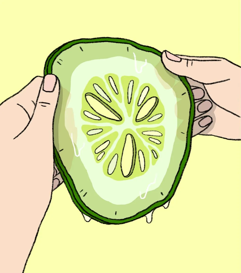 cucumber1