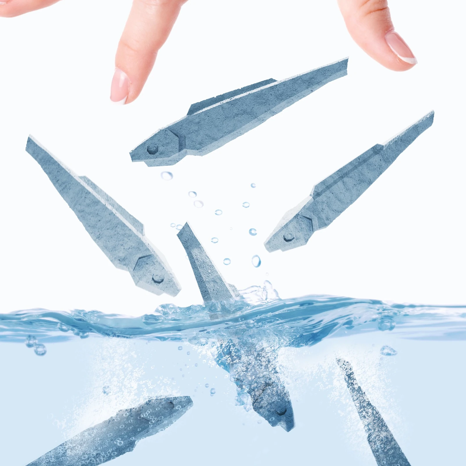 dried sardine1