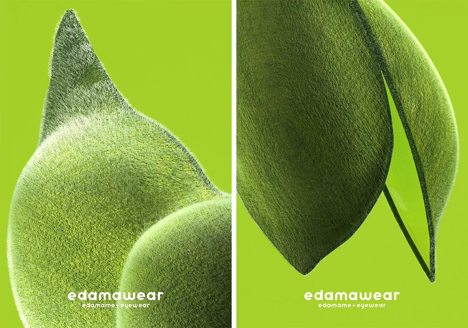 edamame4