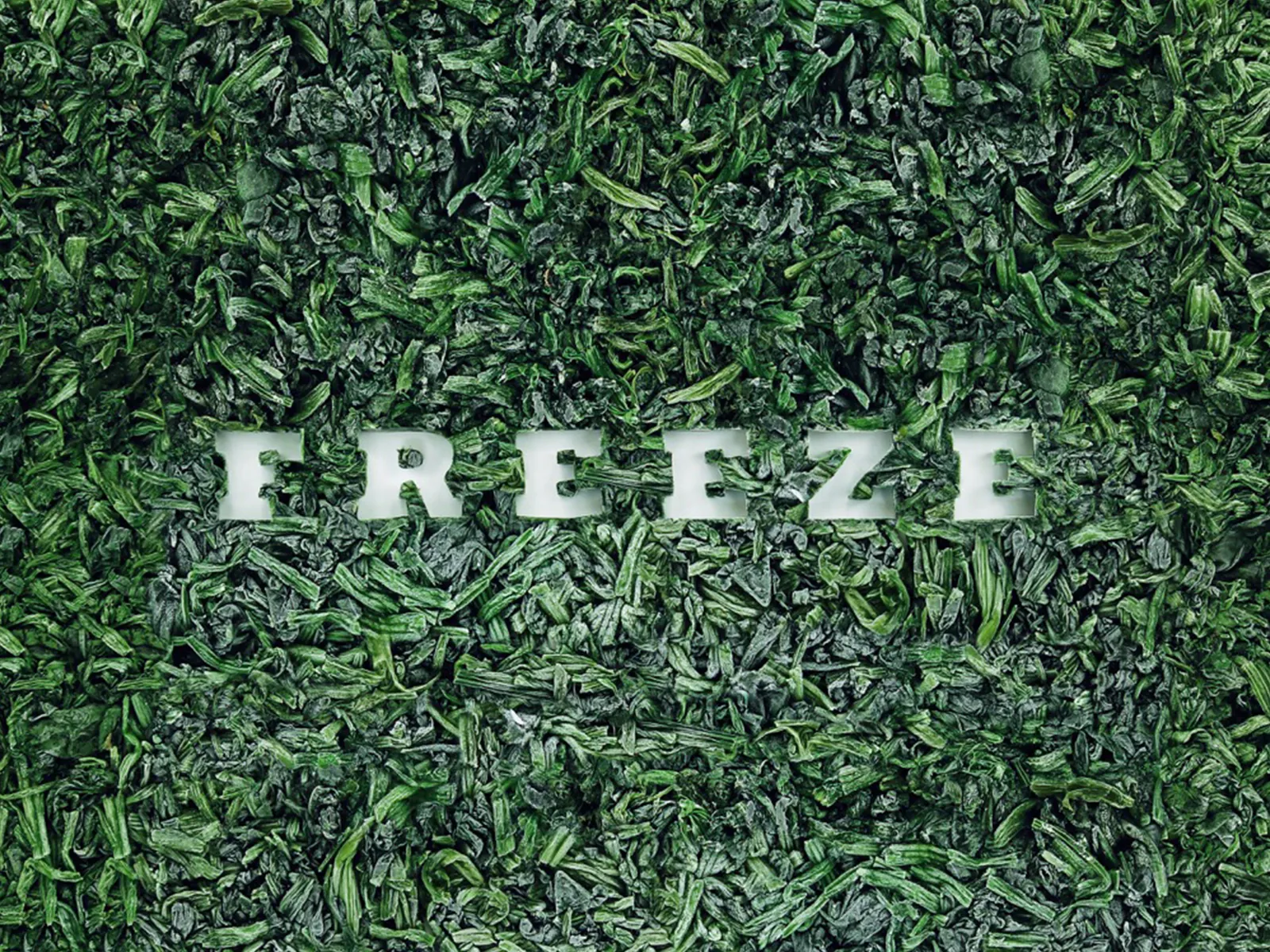 frozen14