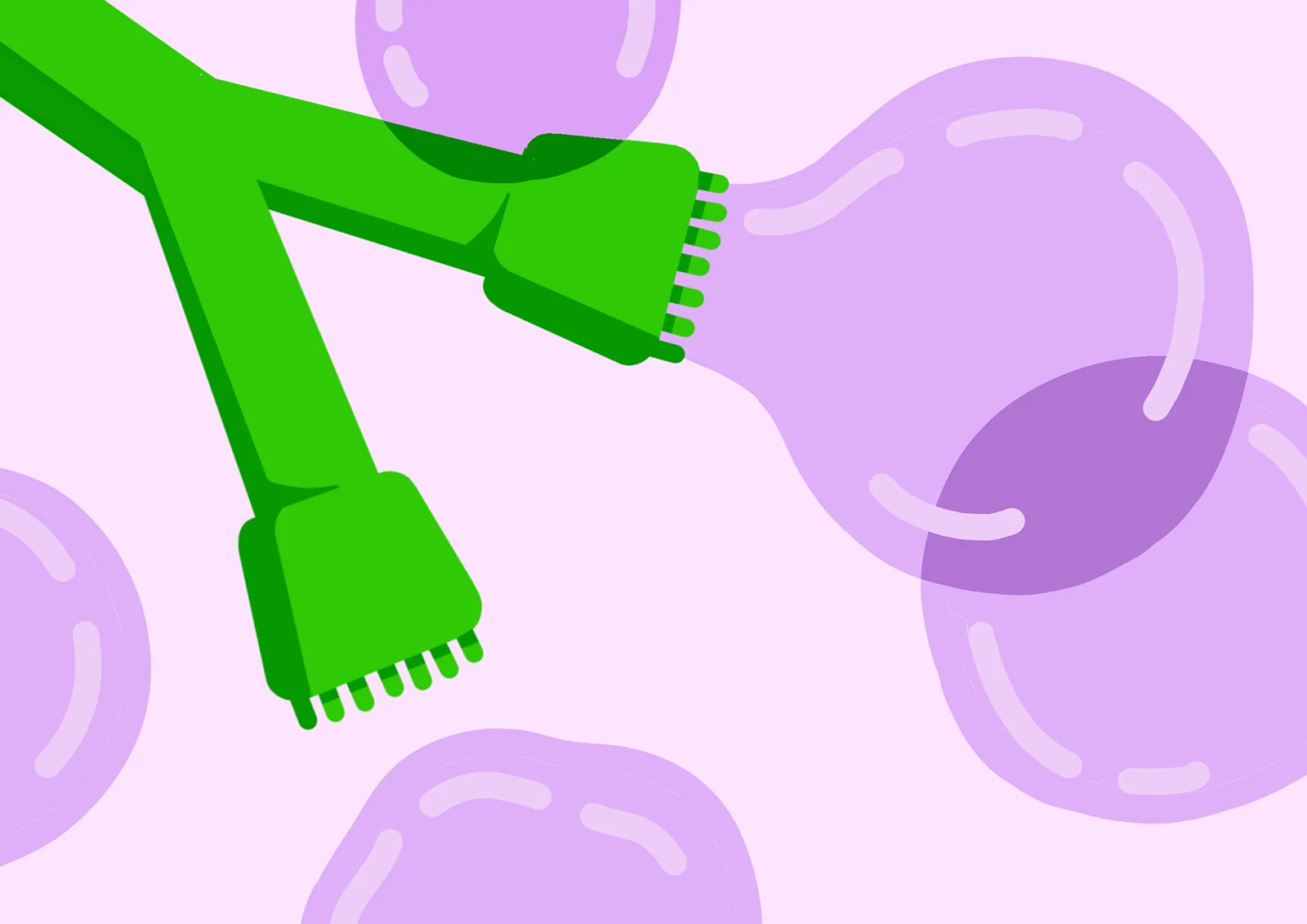grape2