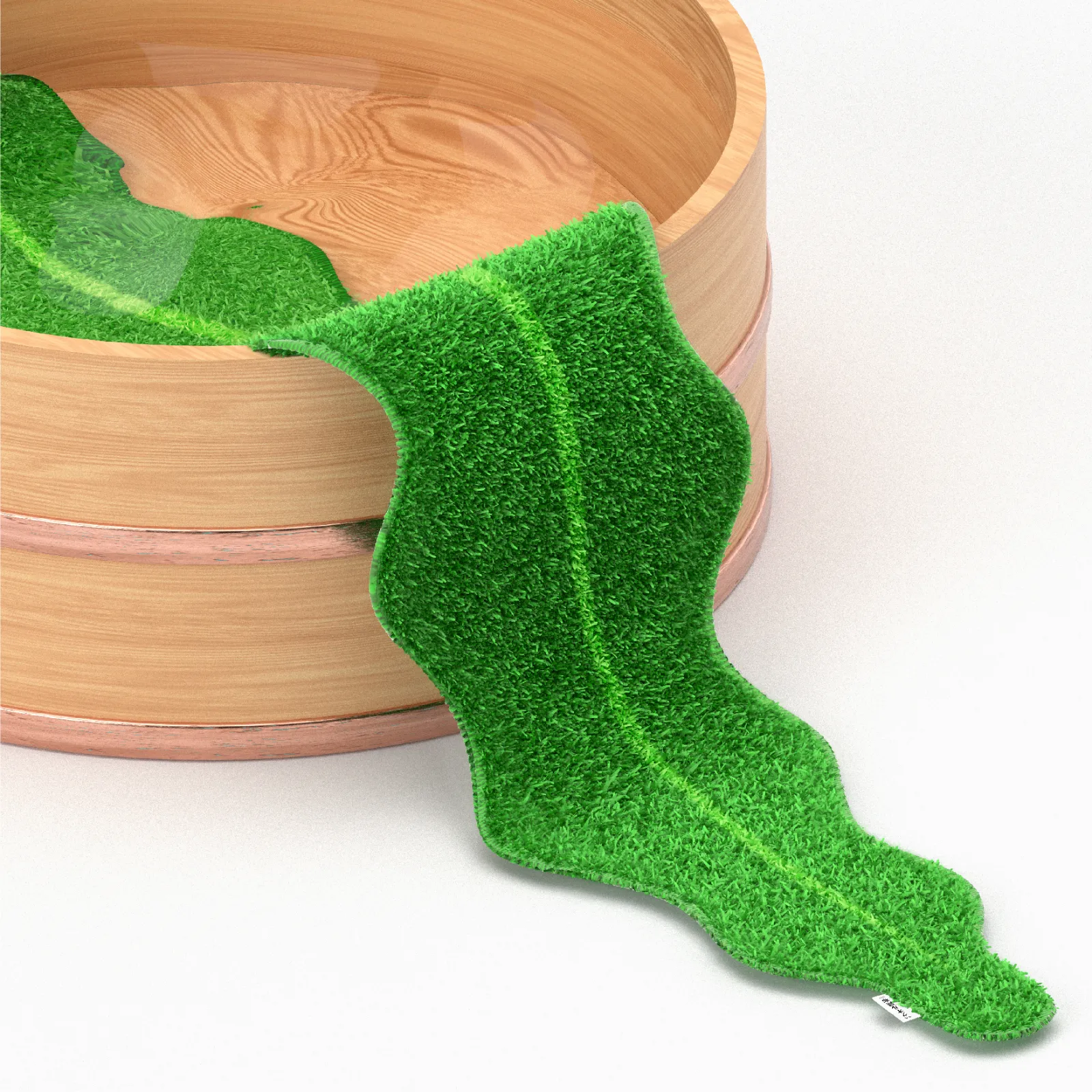 kelp4