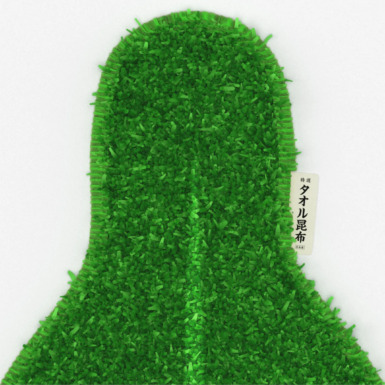 kelp5