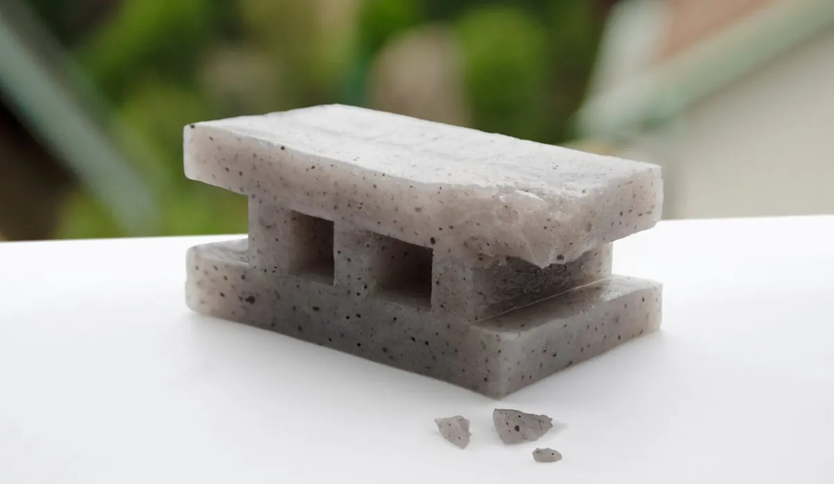 konjac1