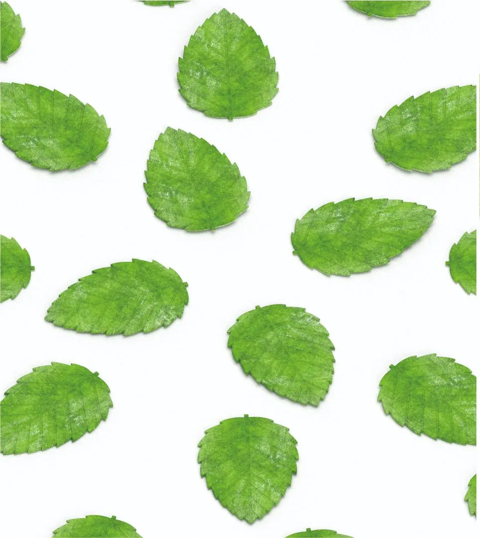 mint1