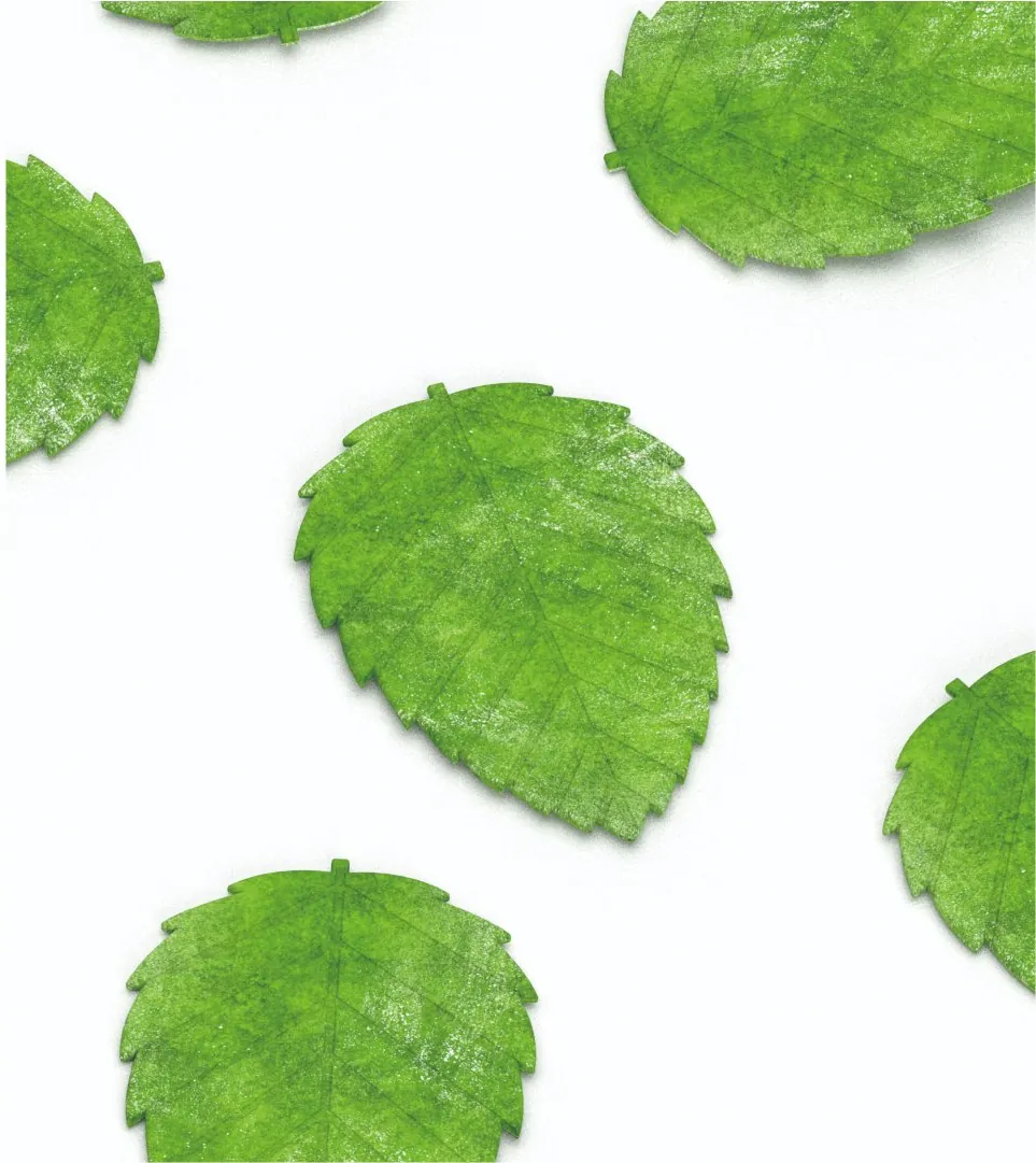 mint2