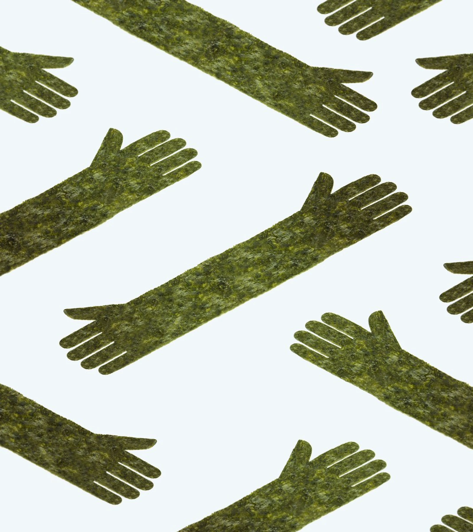 seaweed1