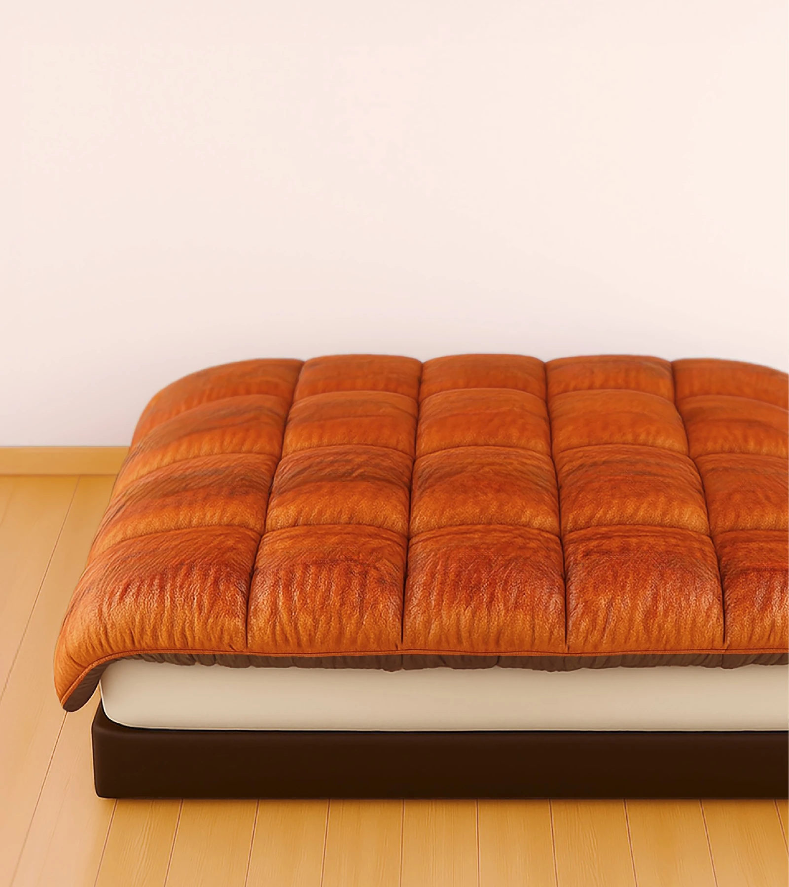 unagi2