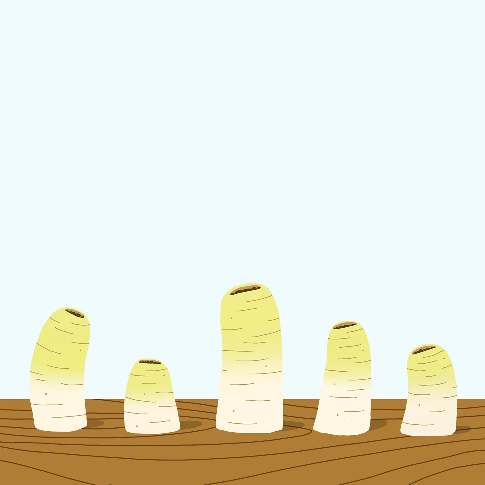 white radish1