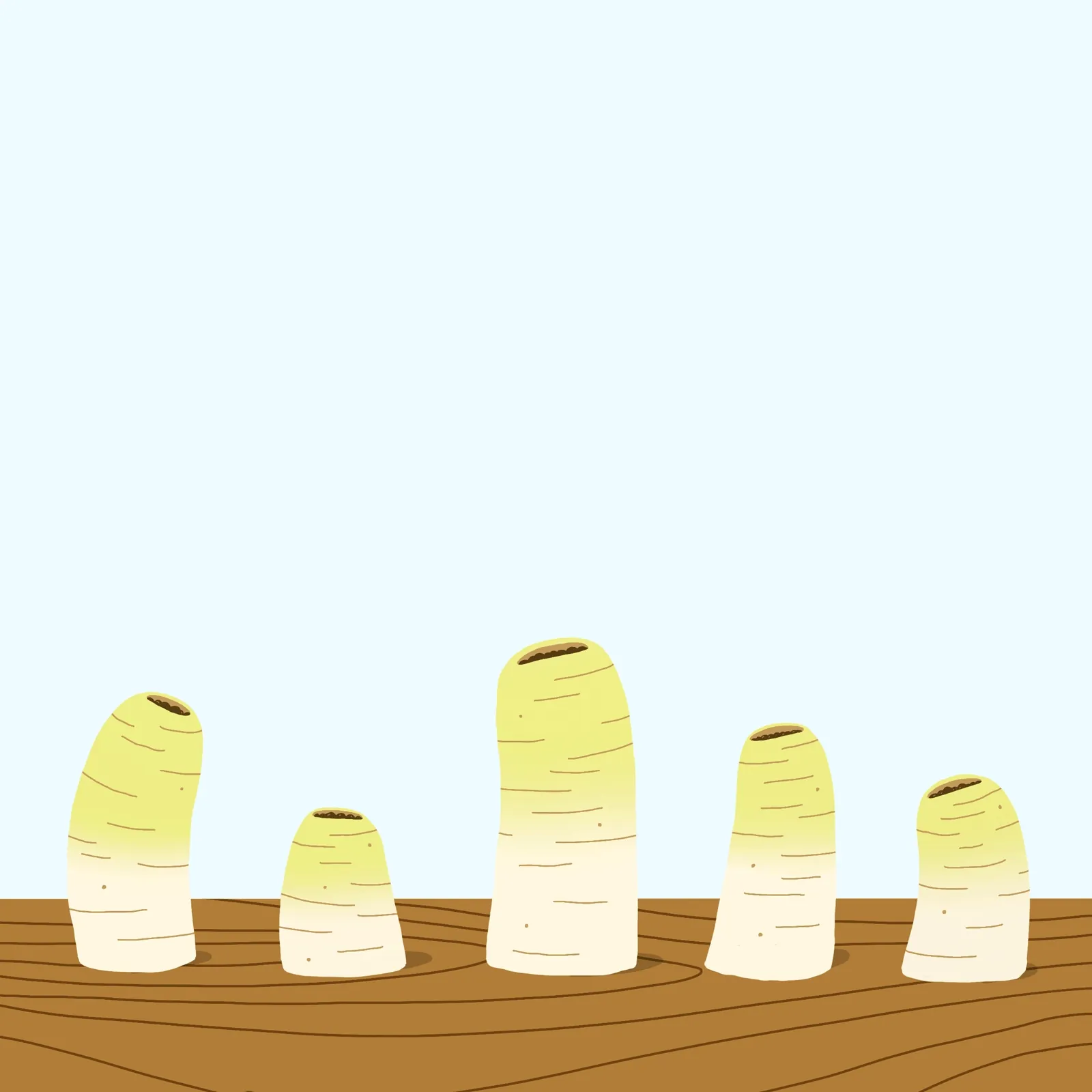 white radish3